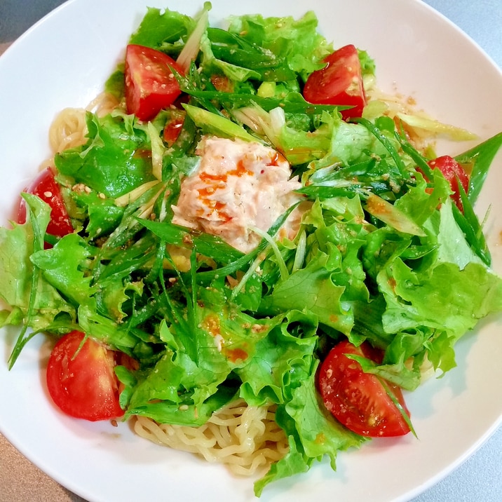 担々風味の!冷たいサラダ麺